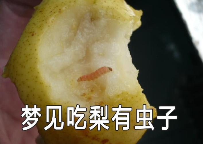 梦见吃梨梨里有虫