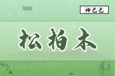 松柏木是什么意思