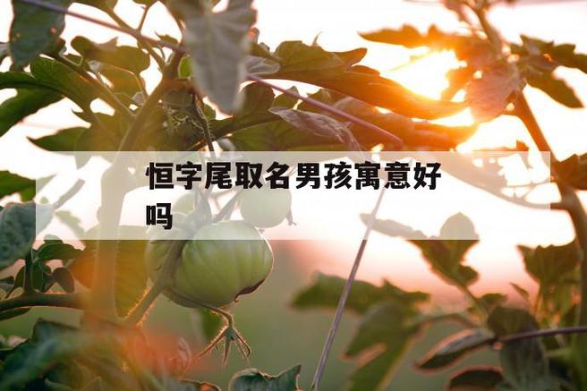 含恒字的男孩名字