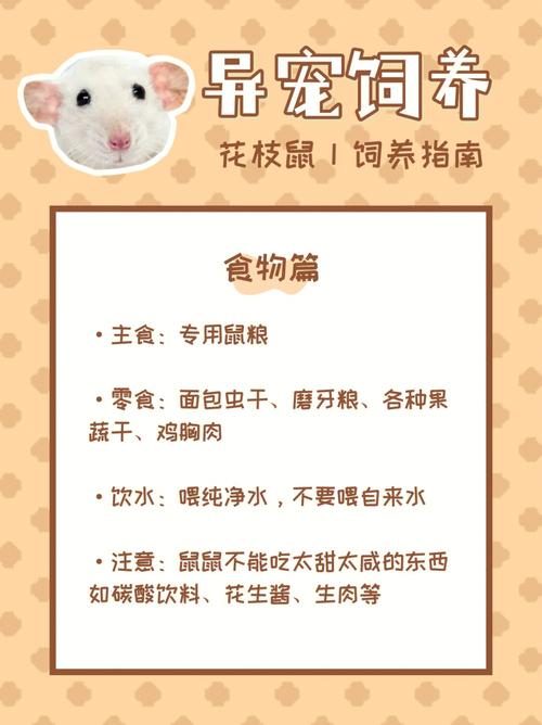 属鼠生肖详尽档案