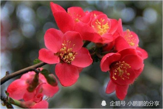 91年羊31后转运 财运上升爱情开花