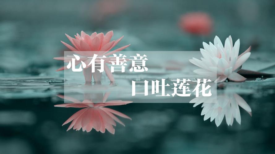 心存善意,总是脸挂笑容的生肖