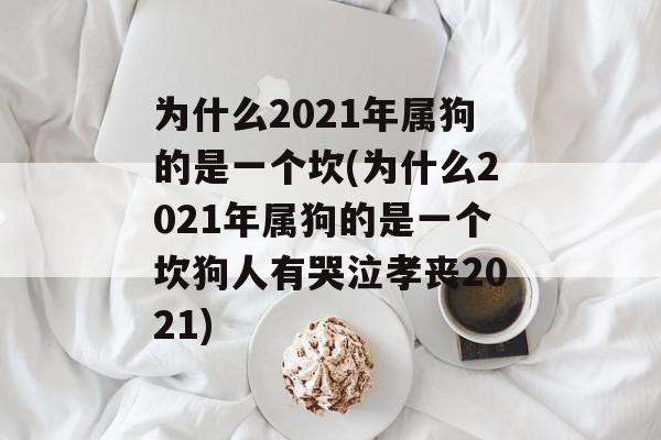 为什么2021年是属狗的一个坎,会经历什么坎坷