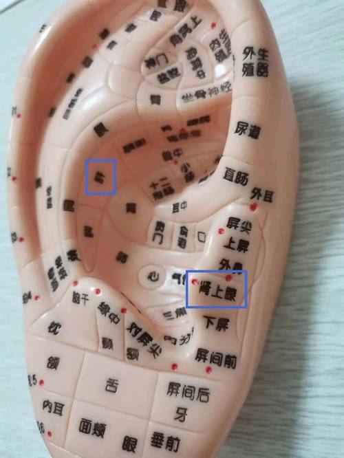 男的耳屏上的痣图解大全