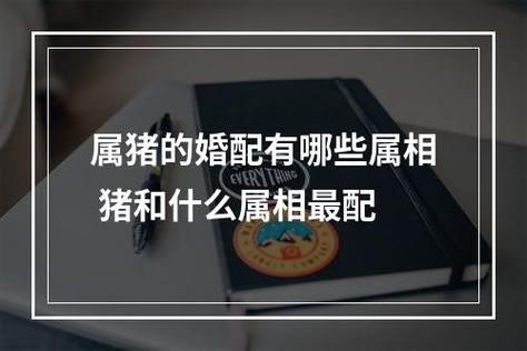 属猪婚配哪个属相最好