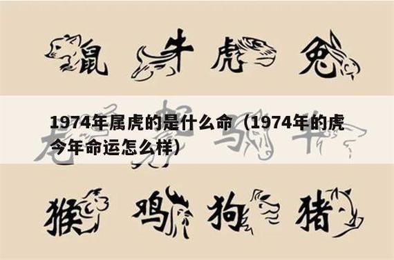 属虎的人一生财运命运怎么样