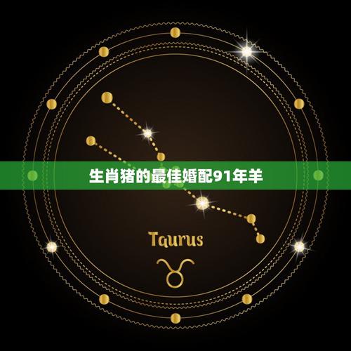 1991年女属羊的最佳配偶