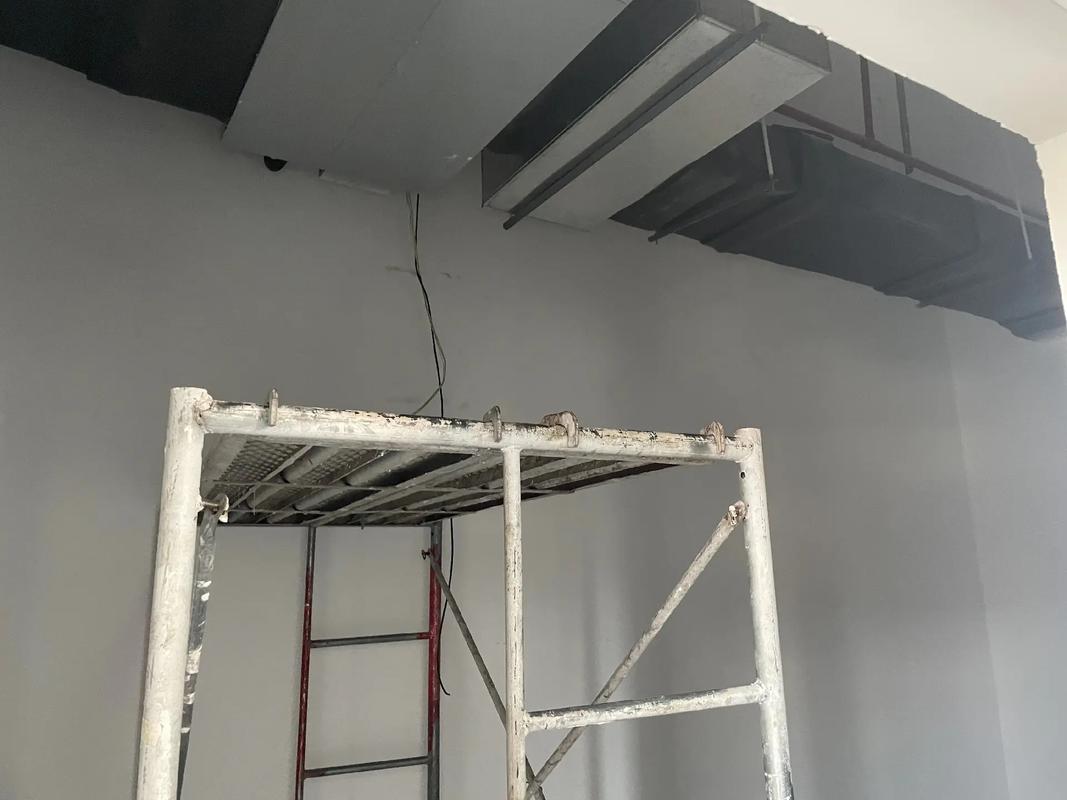 生肖虎努力奋斗一生是为了什么