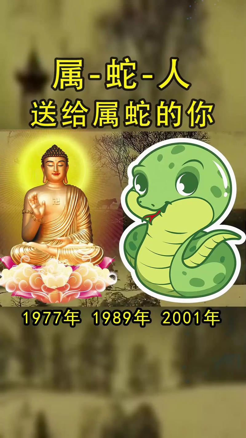 属蛇的人和什么属相不合