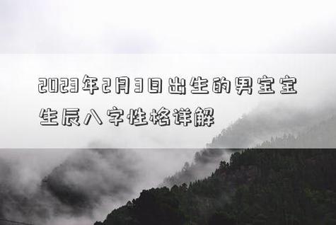 2023年农历二月二十六出生的男孩八字好吗?