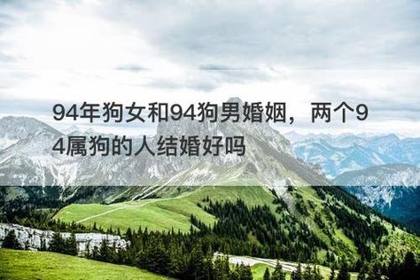 两个属狗的人婚姻如何