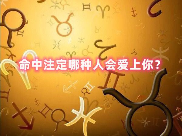 你会爱上哪种人
