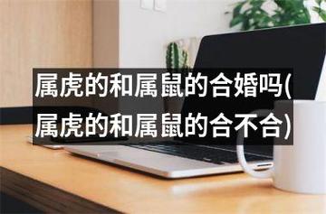 属虎与属鼠人能结为夫妻吗
