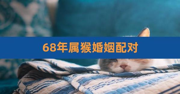 68年属猴男人晚年婚姻