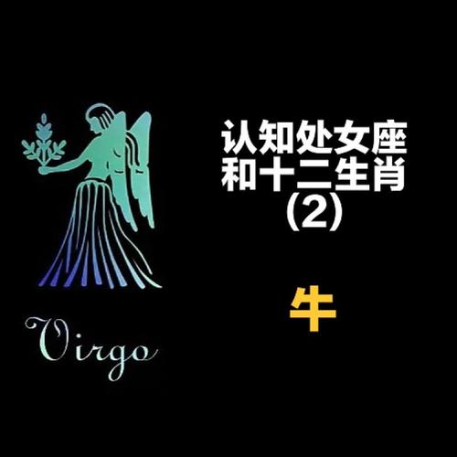 属牛白羊座和属牛处女座配吗