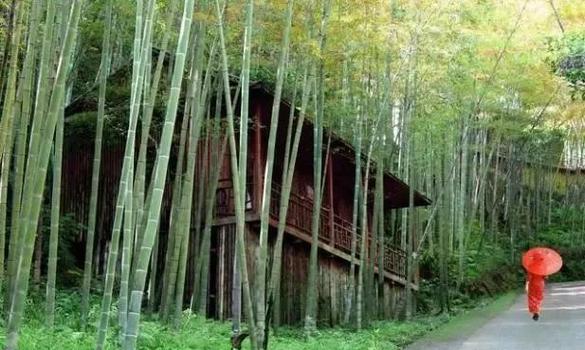 住宅南方有竹林好不好