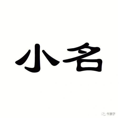 孩子小名叫除夕好不好