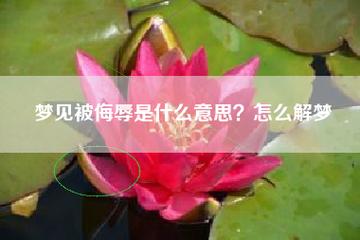 梦到自己受到侮辱什么意思