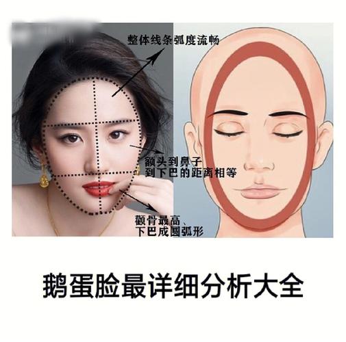 鹅蛋脸面相特征