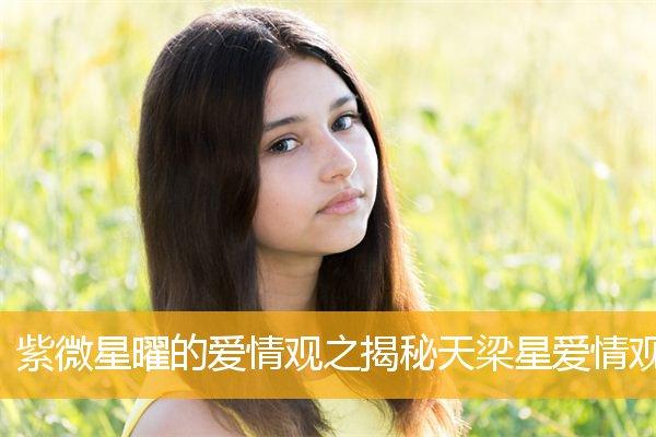 紫微星曜之间的爱情