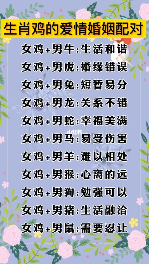 不同月份生肖马的最佳伴侣