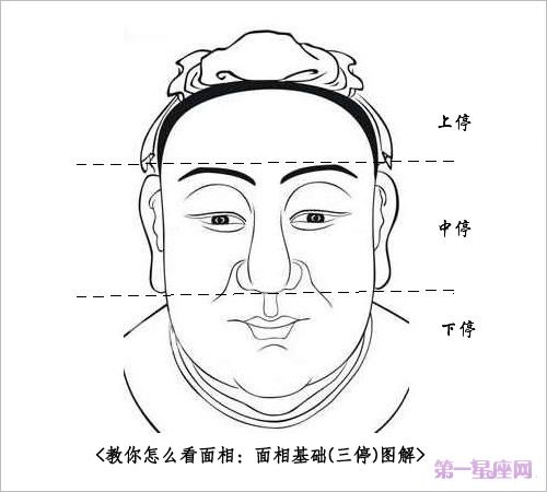什么是面相三停