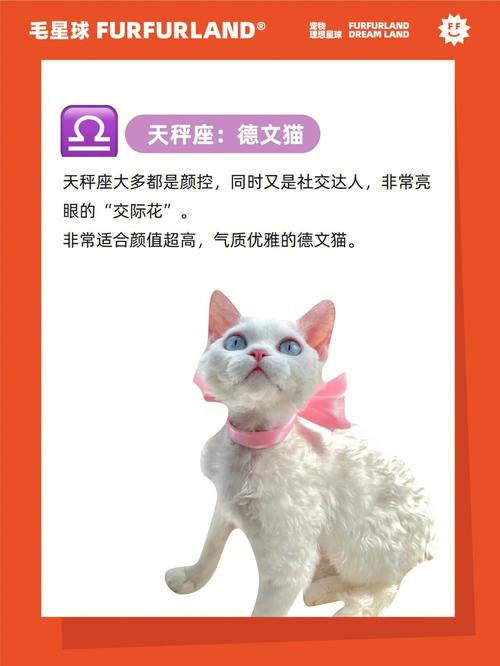 弄虚作假 哪些星座最不适合用来合作呢