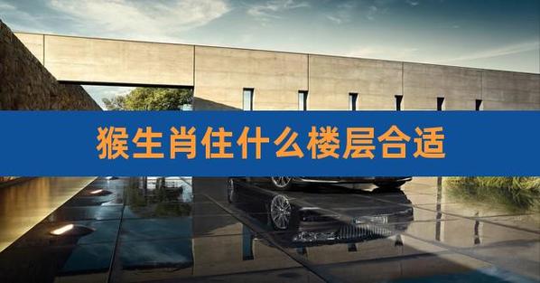 属猴适合住几楼吉利