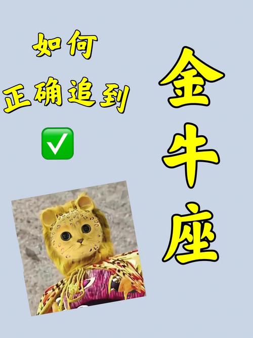 如何追金牛座女生