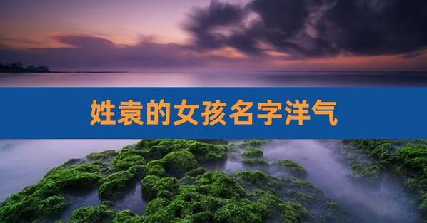 2023年三月廿八出生袁姓女孩名字叫什么