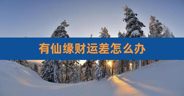 这几天财运不好怎么办