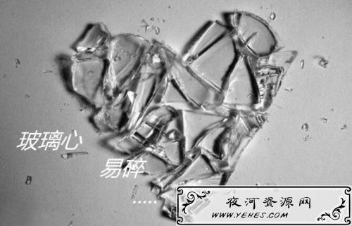 太过于玻璃心 太玻璃心是什么意思