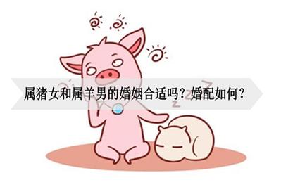 属猪女和属羊男结婚好不好