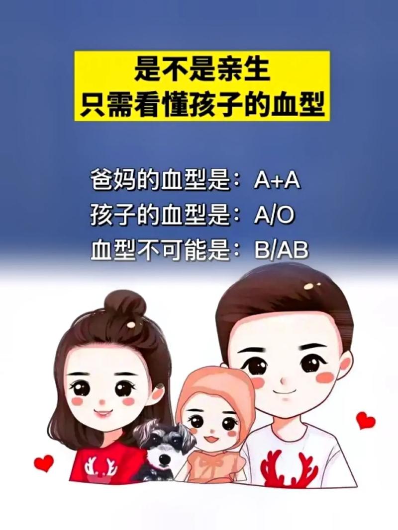 B型血和B型血配吗