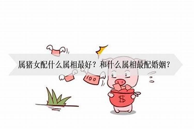 属猪的和什么属相相冲,交友婚配都要注意这三个