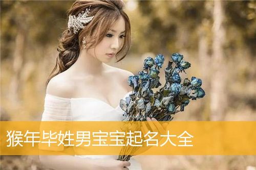多才多艺的毕姓男宝起名推荐