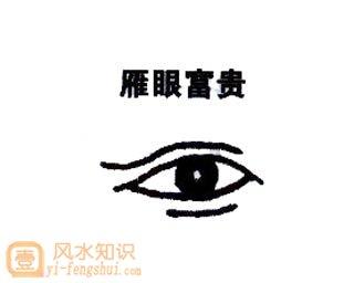 有雁眼的人命运解析