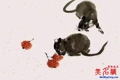 2020年7月出生的鼠宝宝会旺父母吗,他们不仅旺自己还旺父母
