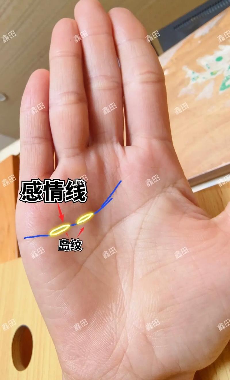 如何通过手相看人生