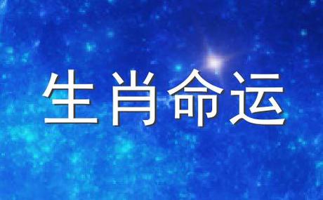 2009年是什么命 命运好不好