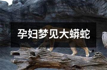 梦见很多大蟒蛇是什么意思