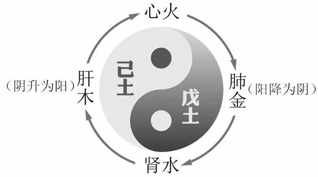 壬水该找丙火还是丁火