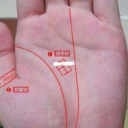 手心纹路有田字