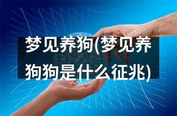 梦见养犬、养狗 周公解梦之梦到养犬、养狗