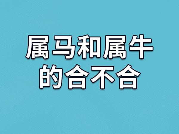 属牛和属马合不合