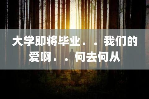 毕业后你们的爱情会何去何从