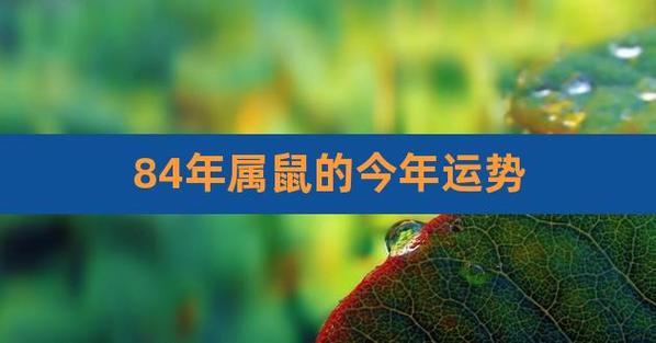 84鼠36岁后财运 属鼠运势分析