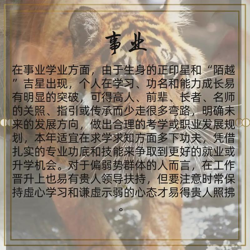 生肖虎,睡在哪里最好