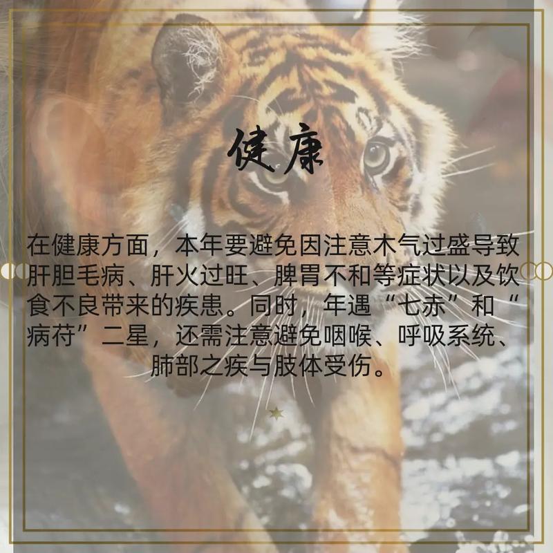 属虎人的运气 2023什么东西最旺属虎人的运气