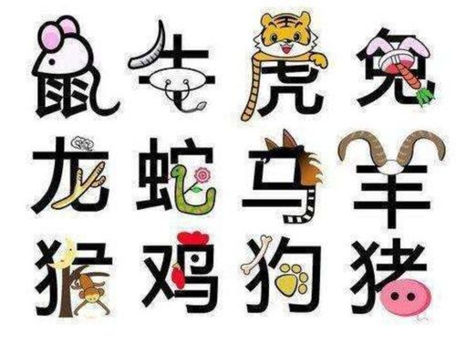 品行端正,为人有修养的生肖